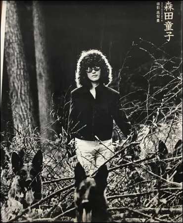 森田童子となかにし礼の関係と「血の歌」本の感想 