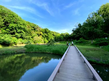 real local 湘南【湘南エリア情報】連載「わたしが住むまち」第6回・藤沢市エリア 