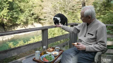 郡上八幡で暮らす近藤正臣を通して高齢者×地方×ひとり住まいの実相に迫る「妻亡きあとにー」 