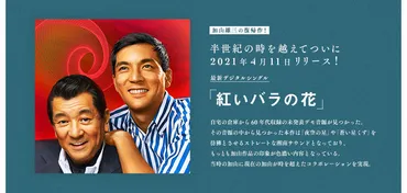 加山雄三 オフィシャルサイト