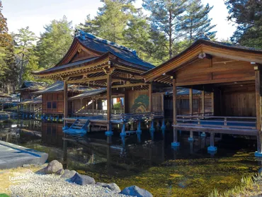 高島彩と子供たちの教育：慶應幼稚舎合格への道のりと夫婦の絆は？慶應幼稚舎と小学校受験：高島彩、西島秀俊ら芸能人の子育て事情