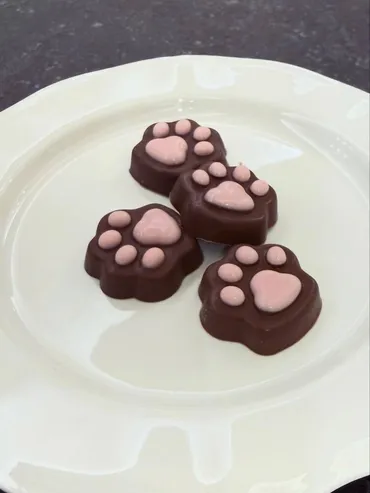 元TOKIO城島茂との授かり婚から7年…元グラドル菊池梨沙、30歳の最新姿に反響「セレブ奥さま」「子どもがもう6歳なんだね」：「おっ！」でつながる地元密着のスポーツ応援メディア  西スポWEB OTTO!