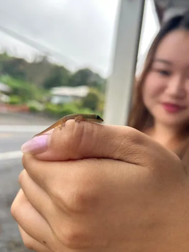 留学体験記】ハワイ大学ヒロ校 安藤 理桜子さん【第1回】 