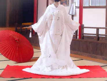 鷺娘」は玉三郎の珠玉の歌舞伎！あらすじと見どころを解説【映像あり】 