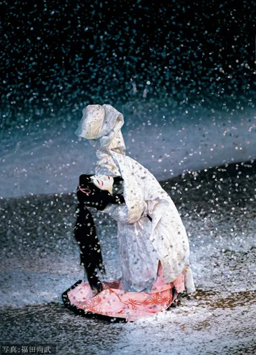 坂東玉三郎伝説のシネマ歌舞伎『鷺娘』。