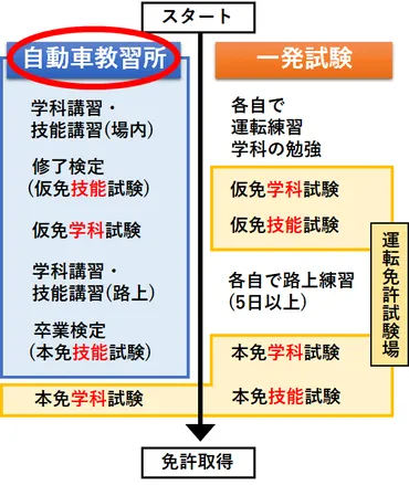 運転免許一発試験(飛び込み試験)とは?経験者が難易度や費用について紹介!