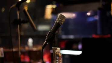 沢田研二と伝説の軌跡：ジュリーの音楽、武道館、そして旅への誘い？ジュリー武道館ファイナル、日光旅行記