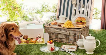 千葉】愛犬と結婚式場でヌン活を楽しもう『わんダフル・グランピングアフタヌーンティー』愛犬モチーフの可愛いスイーツも＜8日間限定開催＞ –  おでかけわんこ部 