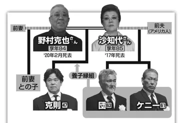 野村克也さん一家の複雑な遺産相続トラブル回避のために必要な対策は