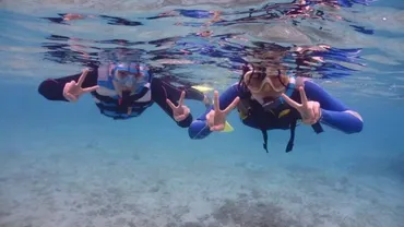 奄美大島のホエールスイム完全ガイド！初心者でも安心♪クジラと泳ぐ感動の海中体験を満喫しよう 