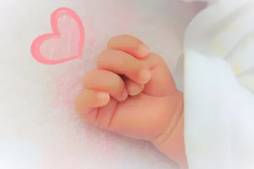 城島茂に第一子誕生!妻出産の陰にあった゛リーダーの変化゛