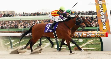 フェブラリーステークス GI特集 JRAレーシングビュアー JRA公式映像配信サービス