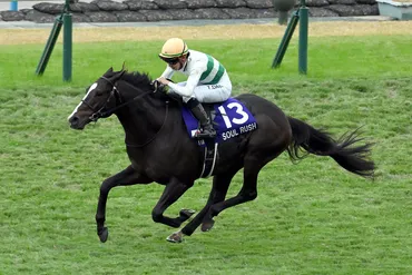 2024年 マイルチャンピオンシップ JRA