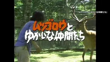 ムツゴロウさん死去】猛獣ともふれあう動物愛プロデューサー語る番組制作秘話…最後に残した言葉「犬と人間の心のつながりっていうのは、絶対に必要」