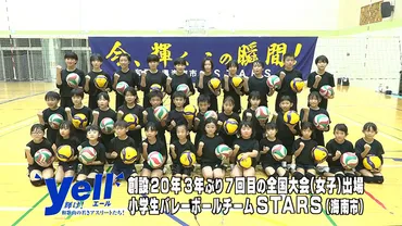 小学生バレーボールチームSTARS