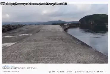 コレコレ生放送】YouTuber 「ちぬ子」立ち入り禁止の場所で釣りをし炎上