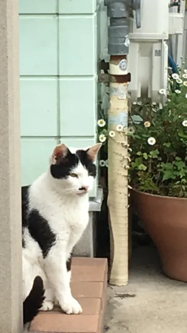 法名＝修音院釋秀樹 : 順照寺の住職ブログ