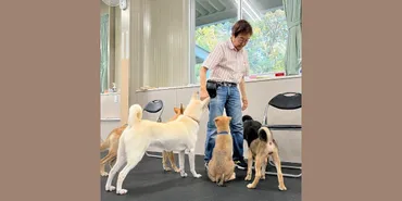 佐良直美、歌から動物愛護へ：波乱万丈の人生とは？佐良直美の現在：歌手から動物愛護活動家への転身