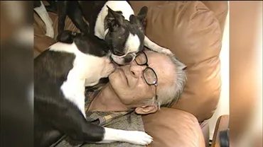 ムツゴロウさん死去】猛獣ともふれあう動物愛  プロデューサー語る番組制作秘話…最後に残した言葉「犬と人間の心のつながりっていうのは、絶対に必要」