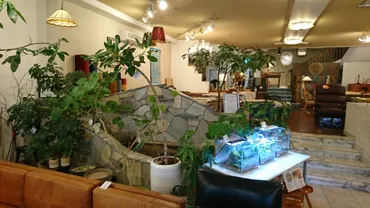 沢田研二の自宅と湧水を横浜山手で探訪（１）：沢田研二・岡田准一の自宅/元町商店街/ダニエル 