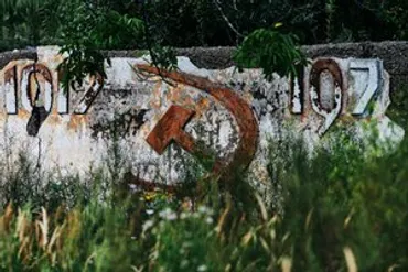 森綾香(知的財産法研究者)の軌跡：研究テーマ、発表活動、未来への展望とは？知財法の最前線：森綾香氏の研究と活動