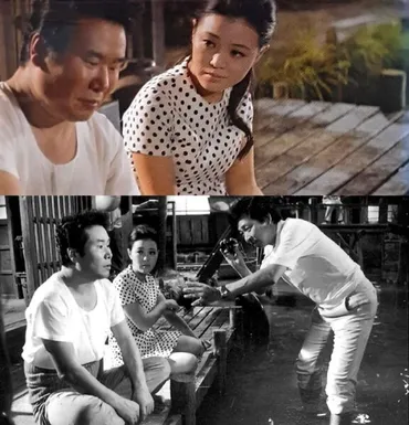 寅さんが愛したマドンナは今どうしてる/若尾文子/長山藍子/