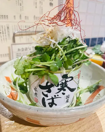 福島の豪華刺身盛りと美味しいサバサラ