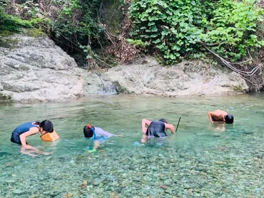 自然の中で勝手に育っていった子どもたち① 