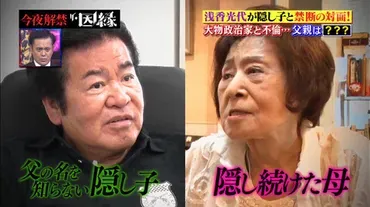 浅香光代と大物政治家の隠し子騒動！父親は誰？長年の謎を追う(？)浅香光代と大物政治家S氏、隠された過去と憶測。