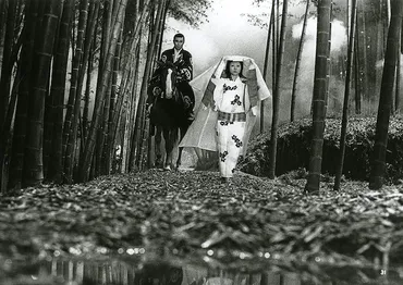 女優・太地喜和子とは？激動の人生と舞台での輝きを振り返る？『藪の中の黒猫』から『白い巨塔』まで、女優・太地喜和子の軌跡