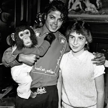 マイケル・ジャクソンさんが愛したチンパンジー・バブルスが４２歳に！/海外スターバックナンバー/芸能/デイリースポーツ online