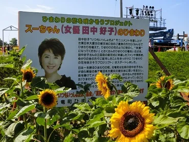 田中好子さんの『ひまわり』と遺志、そして夫の現在？田中好子さんの『ひまわりプロジェクト』と、夫・小達一雄氏の近況