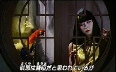 山口小夜子(Sayoko Yamaguchi)「上海異人娼館」(1981) : 夜ごとの美女