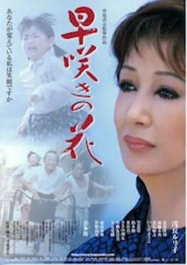 浅丘ルリ子の軌跡を辿る：日活黄金期から現在まで、その輝きは？映画、舞台、そして私生活。浅丘ルリ子の多岐にわたる活躍。