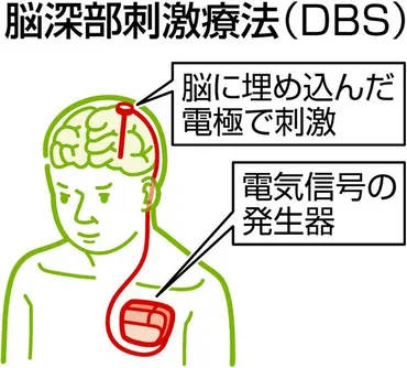 漫画家 島津郷子のパーキンソン病体験記とは？闘病と希望を描くエッセイコミックの魅力とは？島津郷子、パーキンソン病と闘う姿を描いたエッセイコミック