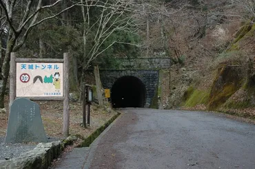 映画『天城越え』あらすじ・感想 