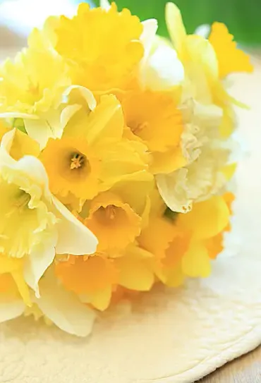 花暦・三月 「水仙」 ～希望の象徴として、今年も祈りとともに咲きます。(季節・暮らしの話題 2016年03月11日) 