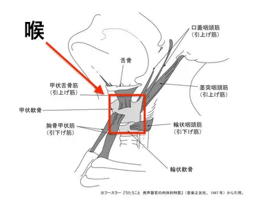ゆず 岩沢厚治さんの発声・歌い方をプロが解説【音声付き】