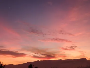 加藤和也と有香さん、美空ひばりの遺産と家族愛の物語とは？美空ひばりの養子 加藤和也と妻 加藤有香、家族と遺産を巡る軌跡