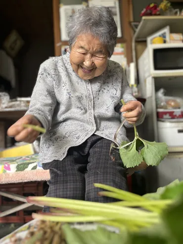 NHK『あさイチ』で「ひとり時間」特集。103歳、長く生きていたから分かることとは？自分をご機嫌にする「ひとり時間」の楽しみ方  103歳、名言だらけ。