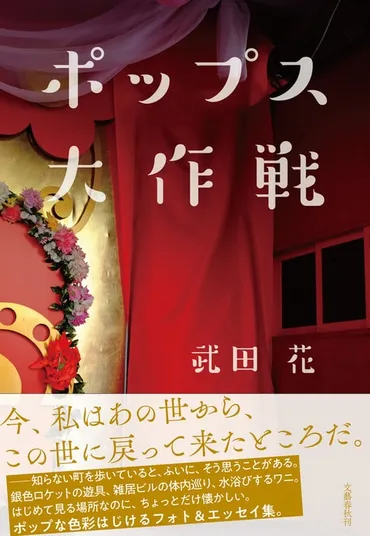 ポップな色彩はじけるフォトエッセイ集『ポップス大作戦』武田花
