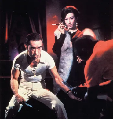 美輪明宏主演『黒蜥蜴』『黒薔薇の館』Blu