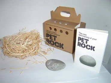 ペットロックはなぜ大ヒット？ 時代を席巻した奇抜なアイデアとは？石ころがペットに？ 70年代を席巻したペットロックの衝撃