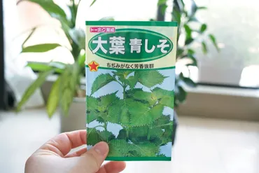 体験談付き】種から育てる！大葉（しそ）家庭菜園の育て方 ...