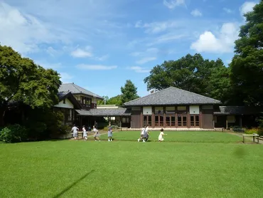 教育研究家に聞く】トットちゃんのトモエ学園みたいな学校日本のオルタナティブ教育とは