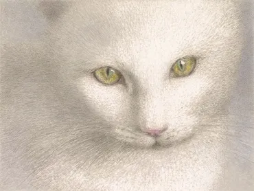 滝沢カレンの「万回生きたねこ」の一歩先へ