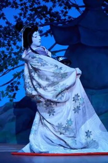 中村七之助、巡業公演で「やったことのない演目を」と舞踊「高尾 ...