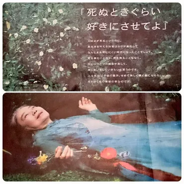 生きるのも日常、死んでいくのも日常」樹木希林の死生観を ...