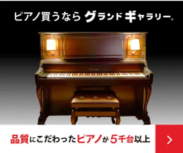 ショパンコンクール２０２１♪第二次予選！牛田智大さん、敗退の ...