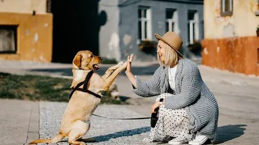 佐良直美の旦那は金持ちで実業家って本当?現在は那須で犬と暮らすのはなぜ?